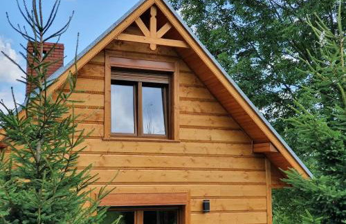 Domek Góralski Piwowarówka - Foto 32