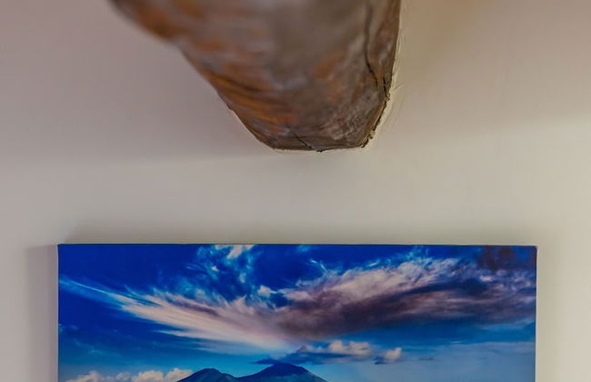 Toledo house Apartments - Foto 57