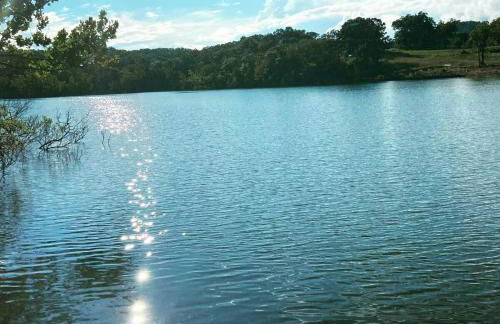 Belle Cottage - Photo 31