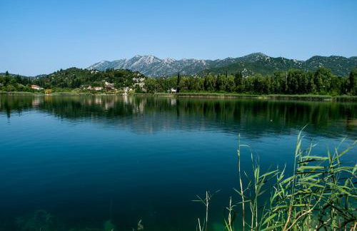 Apartment Cvijanović - Foto 12