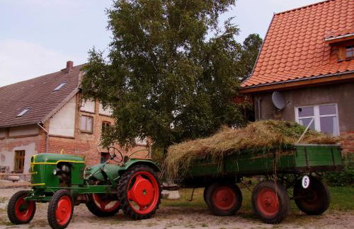 Ferienwohnung Vogelsang - Foto 17
