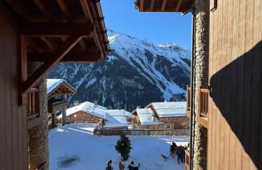 Fermes St Foy F6 - Charmant 3 pièces, ski au pied - St Foy Tarentaise - Foto 16