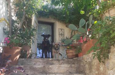 Climb and dive South ! - Foto 36