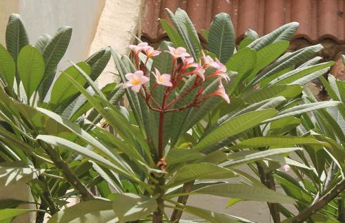 Casa La Victoria - Foto 26