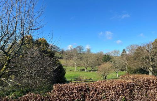 Artist's Studio - Photo 42