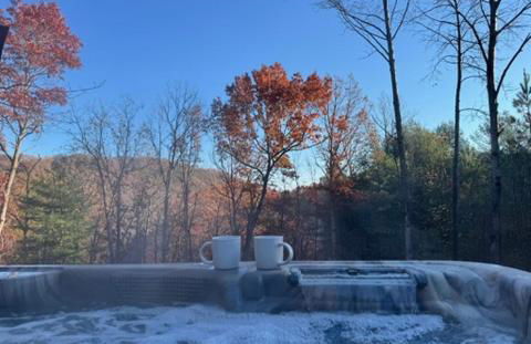 Foxhole Cabin, New 30 day stay custom log cabin in Shenandoah Valley - Foto 19