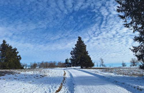 Ferienhaus 1000 Berge Winterberg Kamin & Whirlpool - Foto 38