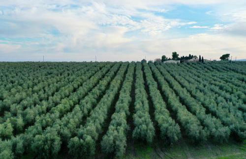 Colonna Country Home - Foto 40