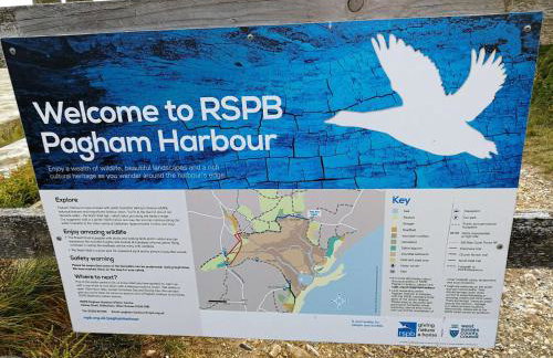 Open Plan Dog Friendly Annexe Sleeping 2 I Near Local Beaches & Chichester with FREE Parking - Foto 49