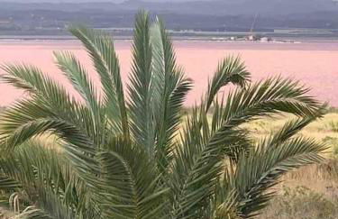 NEW! Romantic house at red lake in Torrevieja! - Foto 28