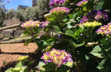 Casa do Ouriço - Foto 45