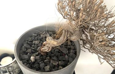 Spacious 82 m2 Two Bedroom classy apartment near City Center - Foto 55