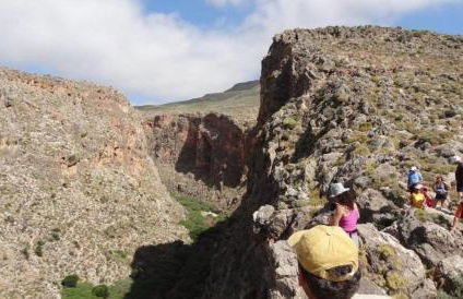 Dimitra Apartments Zakros Village - Photo 70