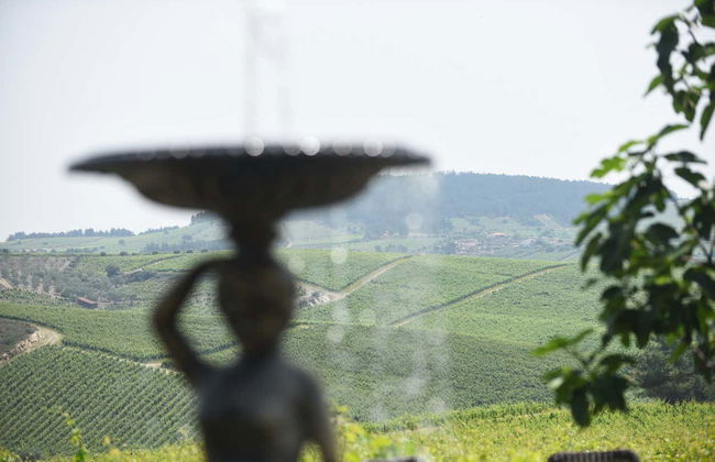 Quinta da Avessada Winery Tour - Foto 4