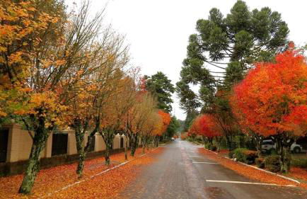 Apartamento Família Sirangelo - Foto 8