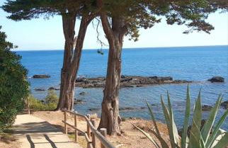 L'ARMONIA entre la Farella i Cau del LLOP - Foto 32