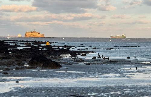 Trafalgar, lovely ground floor flat with outside patio garden, minutes walk to seafront - Photo 21