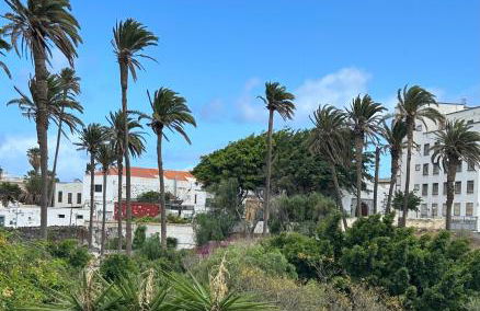 Atico bailadero - Foto 8