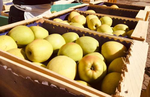 Agritur Ruatti - Foto 24