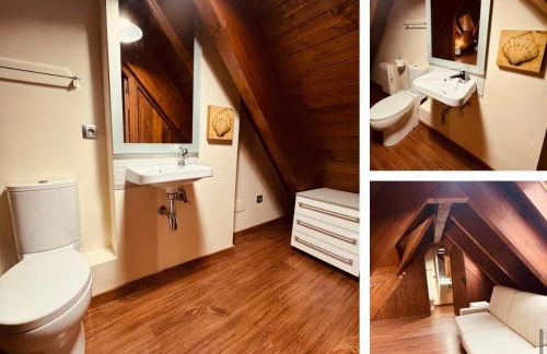 CASA PIXURRI en Lanuza compuesta de 5 apartamentos turísticos en casona pirenaica, a 10 minutos de las ESTACIONES de ESQUÍ de FORMIGAL-PANTICOSA - Foto 25
