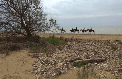 Meridiana, 2 Bedrooms - Foto 19