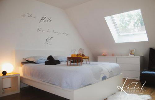 Maison 3chambres aux portes de la Champagne - Foto 21