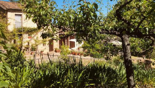 Effimera - Relaxing Retreat - Foto 2, Garden