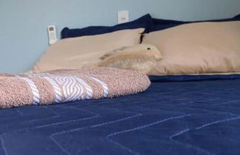 Casa Fantástica 50 mt Prainha Vista do Mar - Parte Superior - Photo 48