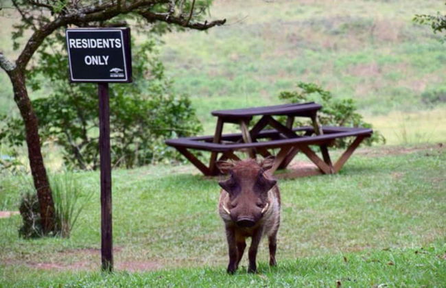 Excursão privada a Eswatini - Foto 1