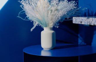 The Norsdale plus CMYK Motel on 10 acres in Phoenicia - Foto 61