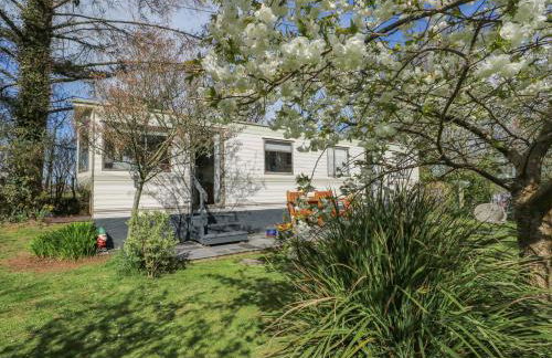 Fron Dderw Caravan - Foto 13