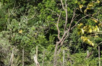 Casa Europeia com Lareira & Piscina em Indaiatuba - Foto 74
