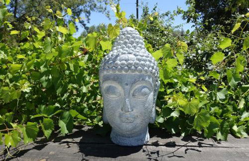 Quinta Alfaval - Foto 10