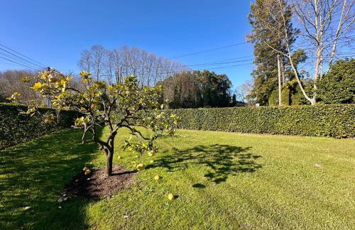 T3 Cozy Old House with XL garden - Foto 15