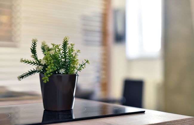 Corner apartments Savska - Foto 34