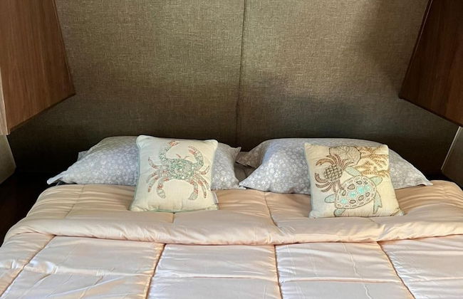 Paradise on the Wheels Clearwater Beaches - Photo 20