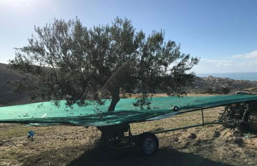 Casa Balata Farm House - Foto 14