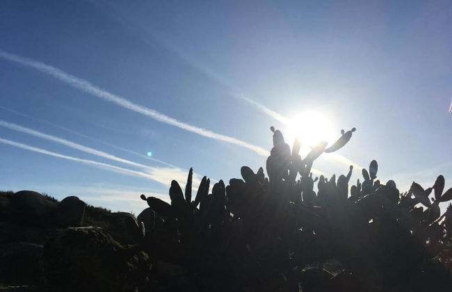 Spacious Holiday Home on Estate Near Covas - Foto 25