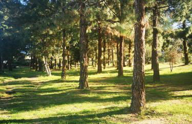 Cara Catherine - Foto 25