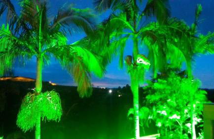 Chacara Sobrado Igarata - Foto 54