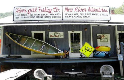 Bear Necessities - Photo 23