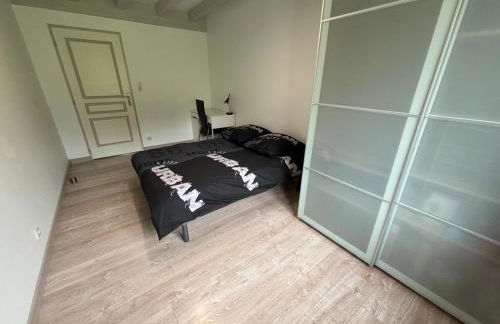 Charmante maison basque entre ville et campagne - Foto 22