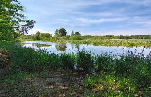 Leśniczówka Zielone Zakole - Foto 48