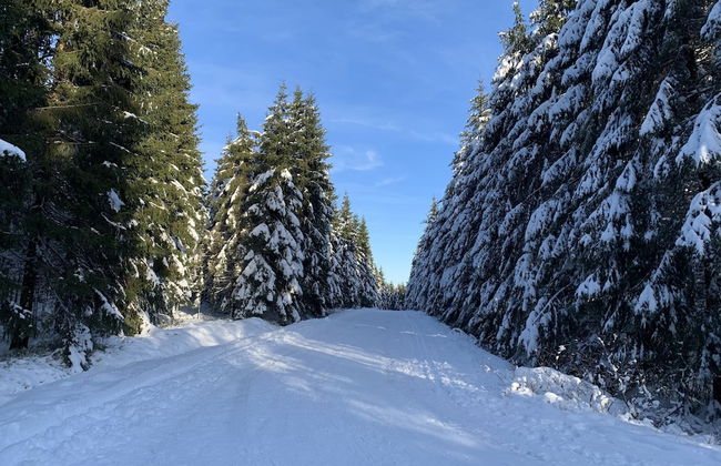Beautiful Chalet Near the Forest in Malmedy - Foto 40