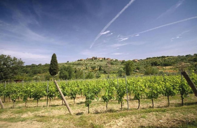 Holiday Home in San Donato With Vineyard Views - Foto 17