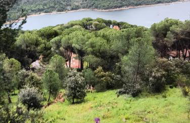 Casita San Martín - Foto 39