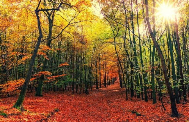 Holiday Home Mantinge Near Nature Reserve - Foto 31