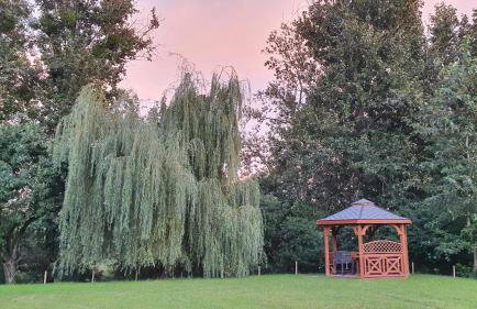 Nasz Dębowiec - dom dla 15 osób, sauna, widok na staw, wielka działka - Photo 30