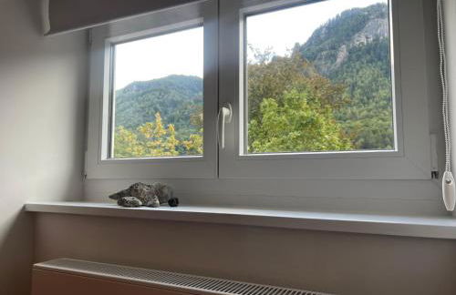 ciao-aschau Haus zur Burg Apartment 305 Geres - Foto 30