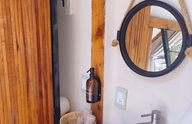 Bosque Geométrico - Foto 61